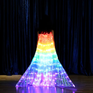 Rainbow Wings - Children's LED Butterfly Costume